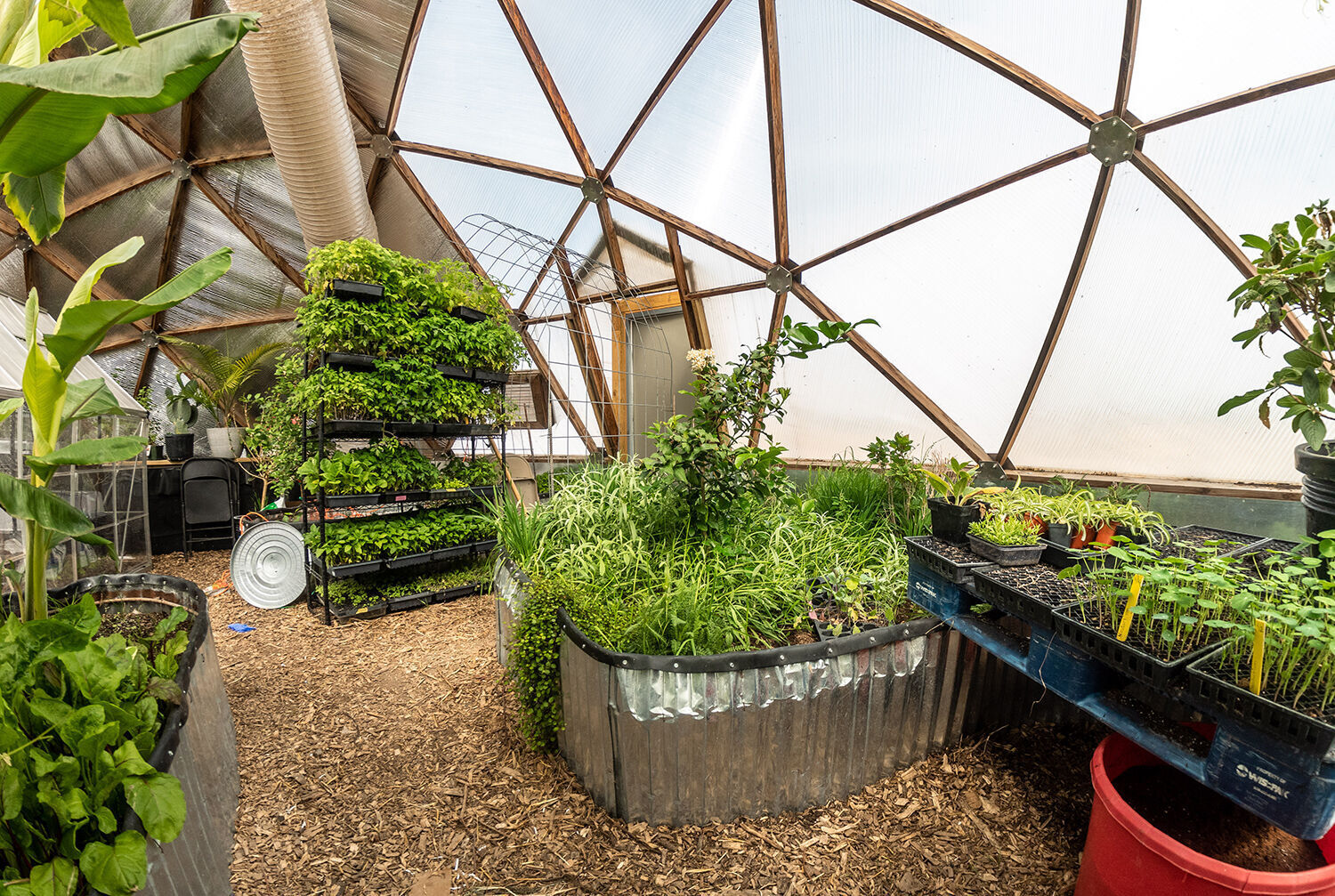 FSI greenhouse